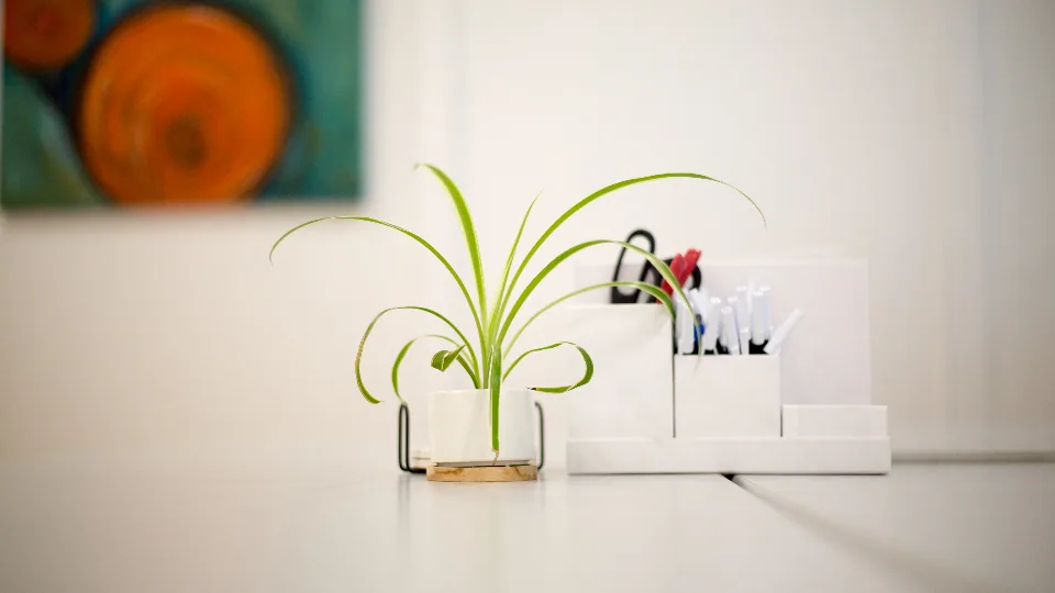 白い机の端に鉢植え、ペン立て、小物入れがまとめて置かれている